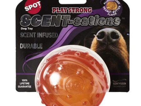 Spot Scent-Sation Peanut Butter Scented Ball 3.25  - 1 count by Spot For Discount